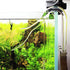 Glass Lily Pipe Inflow & Violet Outflow - Aquarium Planted Tank Aquascaping (17mm for 16/22mm tubing)