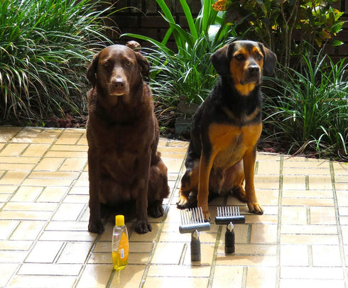 Dog-Pet Aqua Comb