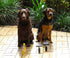 Dog-Pet Aqua Comb