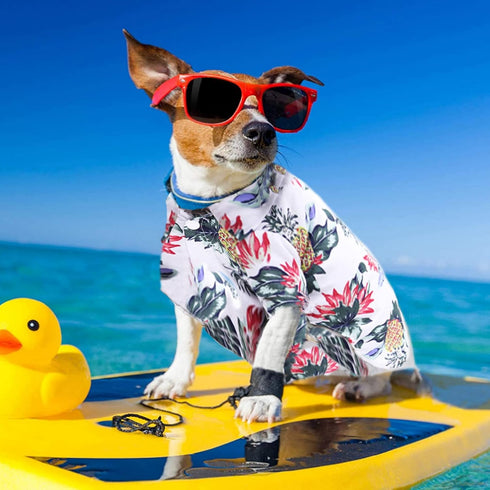 Pack of 4 Hawaiian Dog Shirt Summer Clothes, Breathable Dog Sweatshirts with Coconut Tree & Pineapple for XS-5XL (XL)