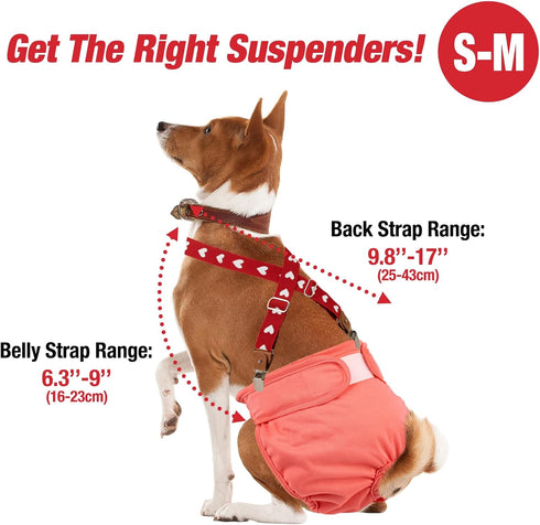 2 Pet Soft Dog Suspenders Pieces Female Dog Diaper Suspenders for Dogs Diaper Keeper Suspender for Dogs Skirt, Dress