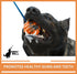 K-9 2.75 Nero Ball Pro Dog Training Ball on Rope Heavy-Duty Natural Rubber Reward & Tug Toy with Nylon Throw Handle