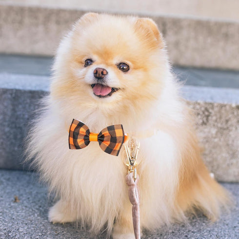 Segarty Bow Ties for Dogs, 80pcs Bowtie Collars for Small Medium Pets, Comfortable Adjustable Neck Bow Tie Grooming