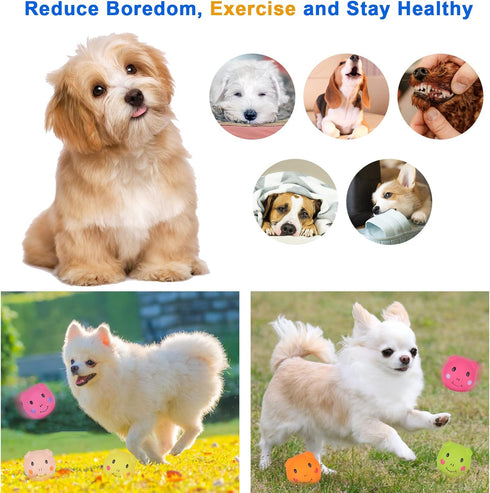 Squeaky Dog Toy, Latex Toys for Puppy and Small Dogs, Piggy Face Squeaky Balls Rubber Soft Chewing Durable Fetch Play