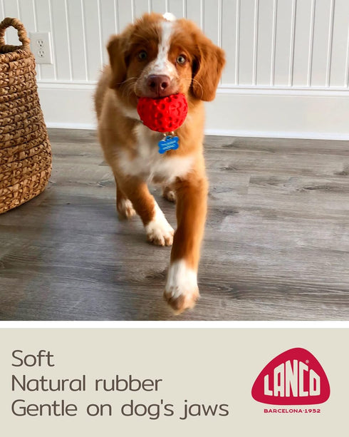 Small Ball Dog Toy - 100% Natural Rubber (Latex) - Soft Squeaky Toy for Small Dogs - Set of 2 Pink