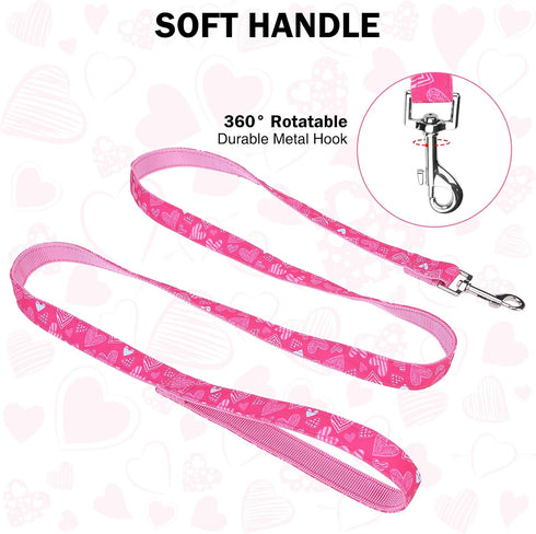 Small Dog Collar and Leash Set - Adjustable Pet Collar for XS, S, M Breeds, 5FT Nylon Dog Leash with Hearts