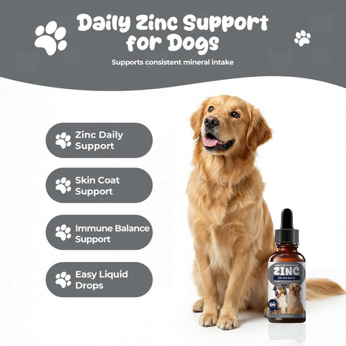 Homibabis Immune 2 oz (60 mL) Zinc Drops for Dogs - Liquid Zinc Supplement for Skin & Coat Health, Support Trace