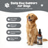 Homibabis Immune 2 oz (60 mL) Zinc Drops for Dogs - Liquid Zinc Supplement for Skin & Coat Health, Support Trace
