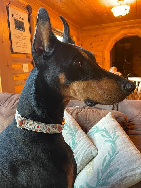 Elegant little tail Dog Collar with Bow, Thanksgiving Turkey Bow for Large Dogs