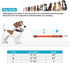 Reflective Dog Collar and Leash Set with Safety Locking Buckle, Adjustable Nylon for Small Medium Large Dogs