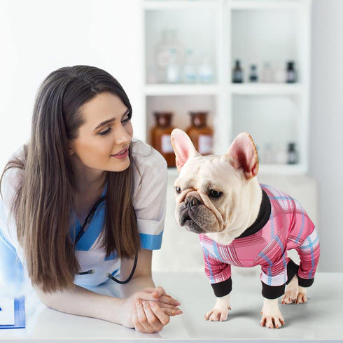 Etdane Dog Recovery Suit for Surgery, Female Spay Onesie for Dogs, Blue Red Plaid/XL