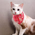 PET SHOW 4Pcs Small Dog Bandanas Slide on Collar Set, Washable Cherry Blossoms Accessories for Small Medium Dogs