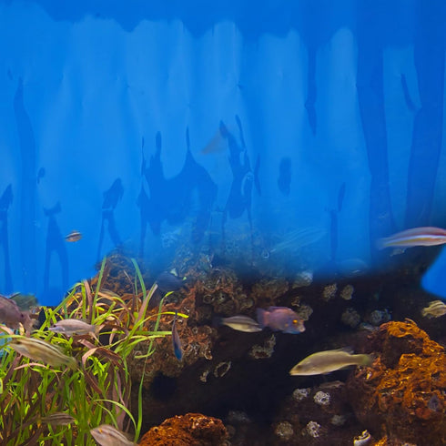Totority Fish Tank Background Sticker - Solid Color Scenery Double Side Glass Decal