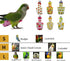 Generic 6PCS Set Washable Reusable Bird Diapers with Waterproof Lining & Adjustable Straps Soft Parrot Diaper Clothes