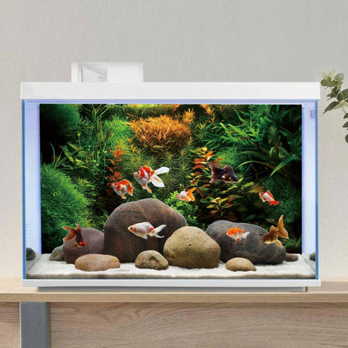 AWERT 24x16 inches Vinyl Aquarium Background, Seagrass Design for Aquatic Plant Fish Tank