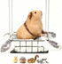 Rat Bed Platform with Blanket, Small Animal Bed Mat, Metal Cage Accessory,