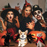 3 Piece Halloween Cat Dog Costume Set - Pet Bat Witch Vampire Cloak, Giant Imitation Spider for Dogs, Cats, Red, S