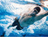 Water Dumbbells Set - Water Aerobics Exercise Foam Dumbbells for Pool Resistance Water Fitness Equipment