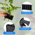 2pcs Aquarium Plant Holder, 5 Holes Top Rimmed Floating Planter Box for Fish Tank Decorations
