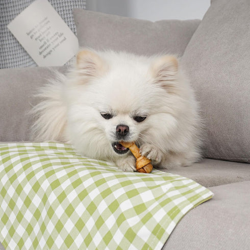 MON2SUN 2.5 Inch 60 Count Dog Rawhide Knot Bones Small Rawhide Bones Mini Chews Chicken Flavour for Puppy and Small