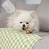 MON2SUN 2.5 Inch 60 Count Dog Rawhide Knot Bones Small Rawhide Bones Mini Chews Chicken Flavour for Puppy and Small