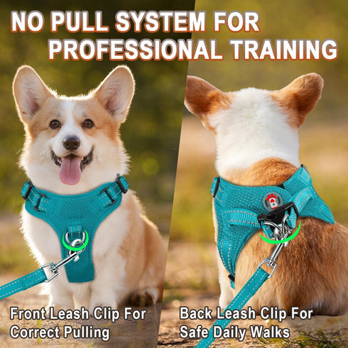Dog Harness, Step in Dog Vest Harness, Reflective Adjustable No Pull Harness for Small Medium Dogs and Cats
