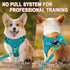 Dog Harness, Step in Dog Vest Harness, Reflective Adjustable No Pull Harness for Small Medium Dogs and Cats