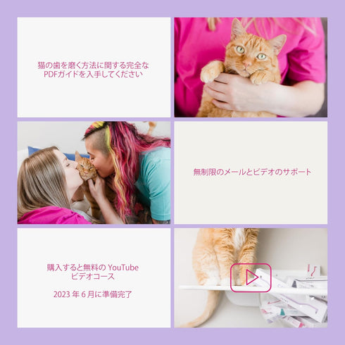 8mm RYERCAT Lavender Dual Sided Cat Toothbrush - Only Wide to fit into Cat's Mouth - Cat Dental Supplies