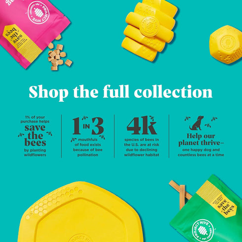 Hive Chew Toy for Small Dogs - Durable and Tough Dog Chew Toy for Puppies and Small Breeds - Floats in Water