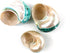Heyiwell Shells3.5~4.5" Inch Large Polished Jade Top Turbo Seashells&Hermit Crab