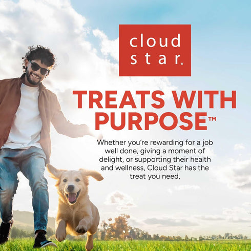 Buddy Biscuits 14 oz. Box of Grain-Free Crunchy Dog Treats with Natural Peanut Butter