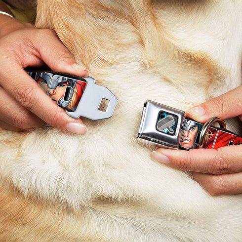 Dog Collar Seatbelt Buckle, Thor Poses Hammer, 11 to 17 Inches, 1.0 Inch Wide