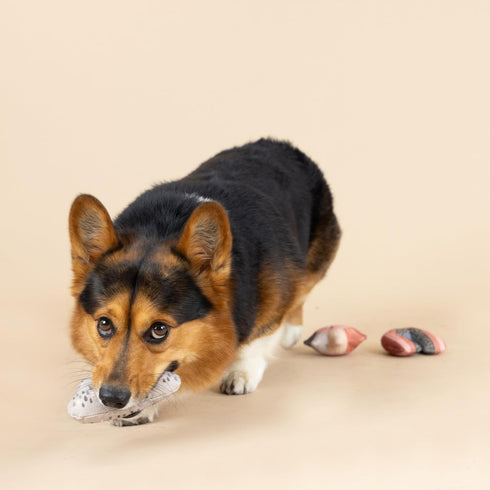 Fringe Studio Mini Canvas Dog Toy Set of 3, PetShop Collection (RAIN OR Shine)