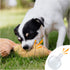 WishLotus Replacement Squeakers for Dog Toys, 30mm Toy Noise Maker, 10pcs