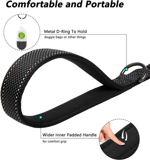 PetiFine 6FT Heavy Duty Dog Leash - Soft Padded Double Handle, Durable Strong Clasp, Reflective Nylon Walking Lead for