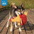 Best Pet Supplies Chicken Crinkle Plush Dog Toys for Interactive Play, Colorful Chicken Toy Shape, Cute and Cuddly -