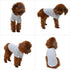 Lovelonglong Pet Clothing Basic Blank T-Shirt Tee for Small Dogs - White, Size L