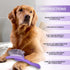 Dog Slicker Brush for Golden Doodle Grooming Kit - Dematting Brushes for Goldendoodles, Labradoodles, Poodles - Pet