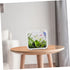 Mini Plastic Aquarium Kits, Small Fish Tank with LED Lighting, Ecological Landscape Box, Desktop Decoration