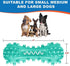 Toothbrush Dog Chew Toy, Stick Bone for Dog Teeth Cleaning, Tooth Brushing, Teething Chew Toys, Dental Oral Care for Small, Medium and Large Dogs(Blue)