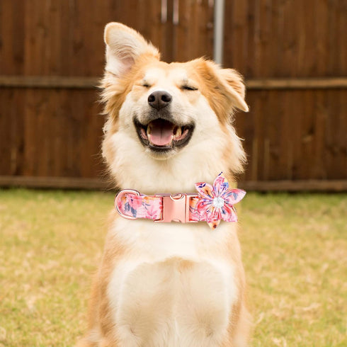 Girl Dog Collar with Detachable Flower, Adjustable Floral Pattern Soft Cotton Collars for Small to Large Dogs