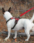 Joytale Double-Sided Reflective Dog Leash, 6 FT/5 FT/4 FT, Heavy Duty Padded Handle Nylon Leashes for Large Dogs, Red
