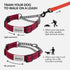 CollarDirect Martingale Dog Collar with Stainless Steel Chain, Quick Release Buckle, Reflective for Large, Medium,