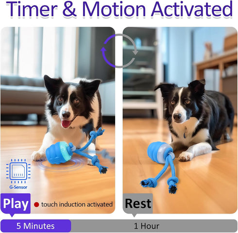 Interactive Motion Activated Dog Toy - Keep Your Dog Engaged