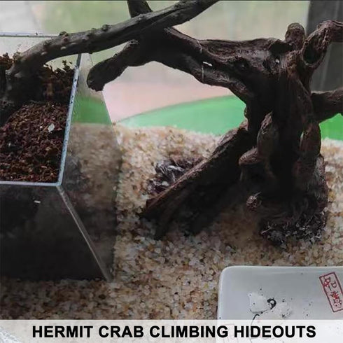 Hermit Crab Climbing Toys, Artificial Tree Trunk Ornaments for Betta Fish Hideout Decor