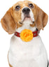 WILLBOND 4 Pieces Multicolored Dog Flower Bow Collar Set, Pet Bow Collar Charms for Puppy Dog Collar Cat Grooming