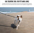 The Buddy System Accessories for Dog Leashes Made in USA (Shock Absorber, Regular Dog Black)