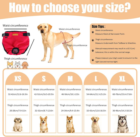 2-Pack Dog Diapers Female |Puppy Essentials Washable & Reusable,Suitable for Period Diapers, Dog Pants to Prevent
