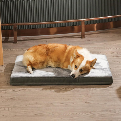 Amazon Basics X-Large Gel Foam Mattress Dog Pet Bed with Removable Cover, Grey, 41"L x 29"W x 4"H