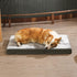 Amazon Basics X-Large Gel Foam Mattress Dog Pet Bed with Removable Cover, Grey, 41"L x 29"W x 4"H